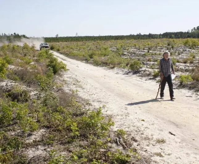 Провинция ночи (2010) через торрент скачать Провинция ночи (2010) фильм через торрент скачать