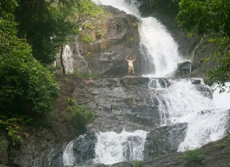 Джунгли. Райский переполох (2023) через торрент бесплатно Джунгли. Райский переполох (2023) фильм через торрент бесплатно