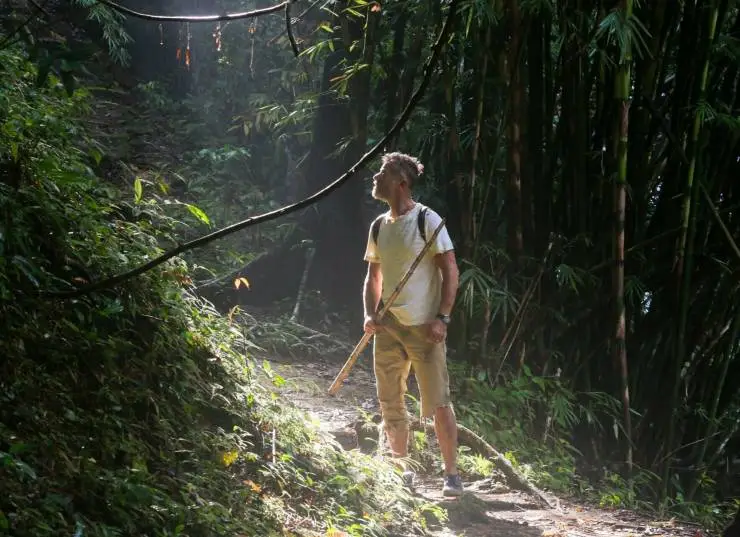 Джунгли. Райский переполох (2023) через торрент скачать Джунгли. Райский переполох (2023) фильм через торрент скачать
