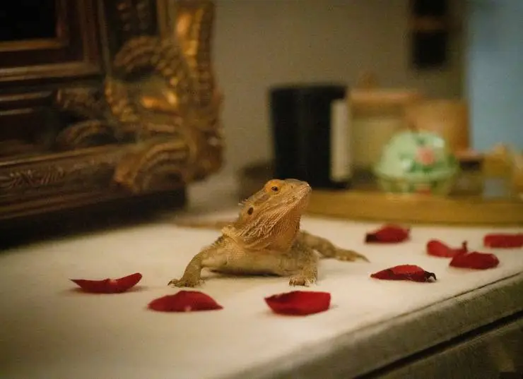 Отомсти за меня (2022) через торрент скачать Отомсти за меня (2022) фильм через торрент скачать