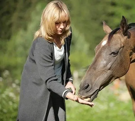 Кружева (2008) через торрент бесплатно Кружева (2008) сериал через торрент бесплатно