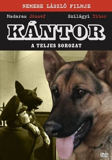 Кантор - собака-детектив / Kántor (1976) cериал скачать через торрент в хорошем качестве