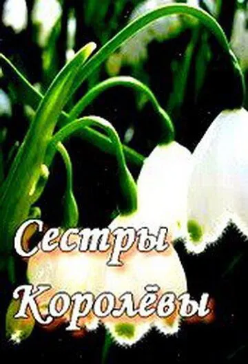 Сестры Королевы (2010) cериал скачать через торрент в хорошем качестве