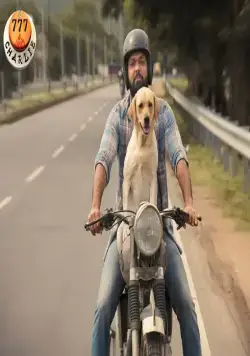 777 Чарли (2022) через торрент скачать 777 Чарли (2022) фильм через торрент скачать