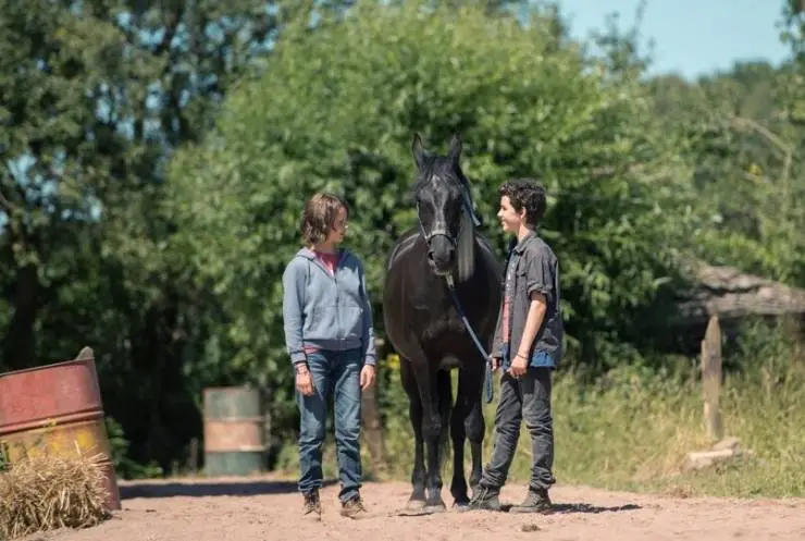 Восточный ветер. Великий ураган (2021) через торрент скачать Восточный ветер. Великий ураган (2021) фильм через торрент скачать