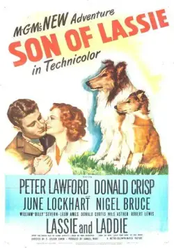 Скачать Сын Лесси / Son of Lassie(1945) фильм через торрент бесплатно