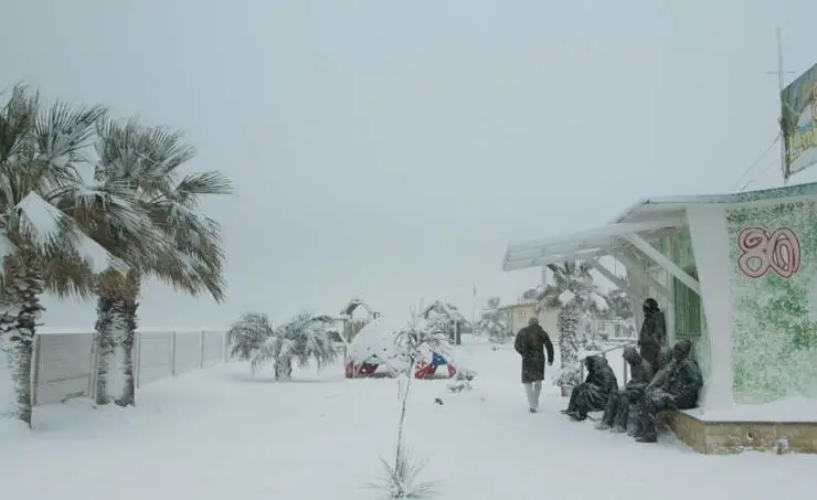 Римини (2022) через торрент скачать Римини (2022) фильм через торрент скачать