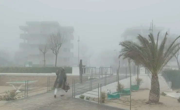 Римини (2022) через торрент бесплатно Римини (2022) фильм через торрент бесплатно