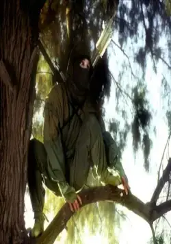 Ниндзя III: Господство (1984) через торрент скачать Ниндзя III: Господство (1984) фильм через торрент скачать