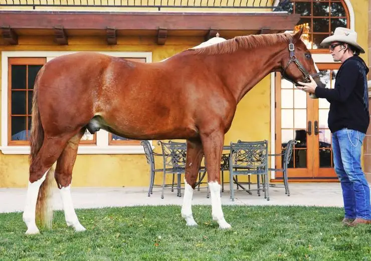 9 жизней (2022) через торрент скачать 9 жизней (2022) фильм через торрент скачать