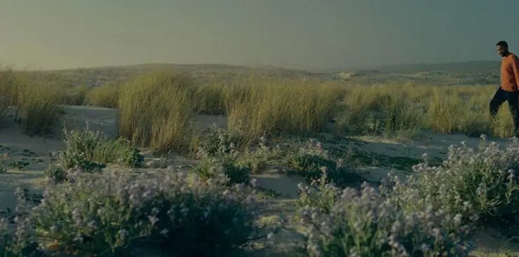 Капсульное поколение (2023) в хорошем качестве через торрент Капсульное поколение (2023) фильм в хорошем качестве через торрент