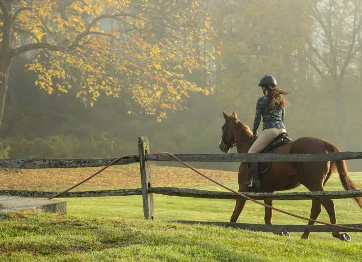 Галопом к мечте (2022) через торрент бесплатно Галопом к мечте (2022) фильм через торрент бесплатно