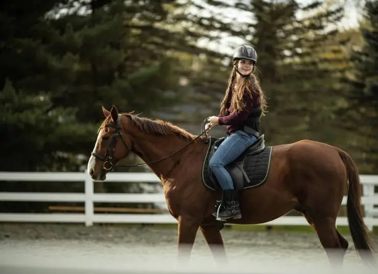 Галопом к мечте (2022) через торрент скачать Галопом к мечте (2022) фильм через торрент скачать