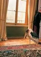 Истина в вине (1999) через торрент скачать Истина в вине (1999) фильм через торрент скачать