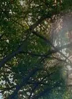 Притяжение (2002) через торрент скачать Притяжение (2002) фильм через торрент скачать