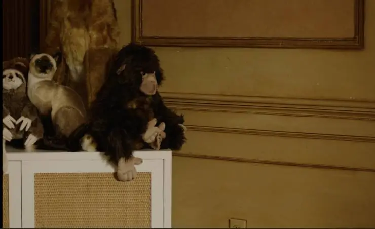 Шимпанзе под прикрытием (2021) в хорошем качестве через торрент Шимпанзе под прикрытием (2021) фильм в хорошем качестве через торрент