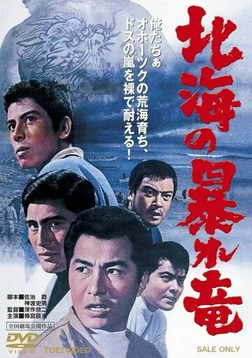 Дракон, буйствующий в Северном море / Hokkai no Abare-Ryu (1966) фильм скачать через торрент в хорошем качестве