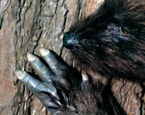 Зверь (1975) через торрент бесплатно Зверь (1975) фильм через торрент бесплатно