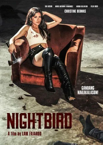 Ночная пташка / Nightbird 2023 скачать через торрент фильм в хорошем качестве