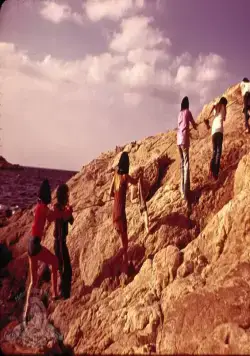 Бутон розы (1975) через торрент скачать Бутон розы (1975) фильм через торрент скачать