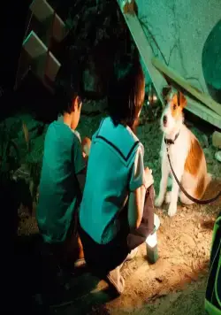 Как украсть собаку (2014) через торрент скачать Как украсть собаку (2014) фильм через торрент скачать