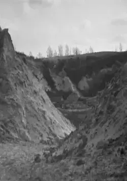 Бабий Яр. Контекст (2021) через торрент скачать Бабий Яр. Контекст (2021) фильм через торрент скачать