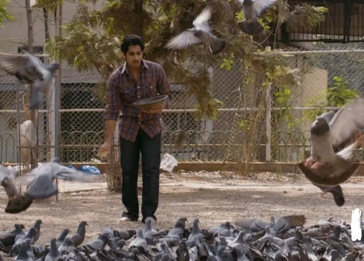 180 (2011) через торрент бесплатно 180 (2011) фильм через торрент бесплатно