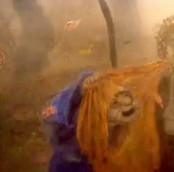 Зимние дни (2003) через торрент бесплатно Зимние дни (2003) мультфильм через торрент бесплатно