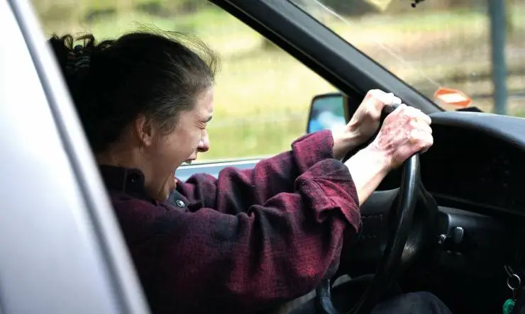 Тихий лес (2022) в хорошем качестве через торрент Тихий лес (2022) фильм в хорошем качестве через торрент