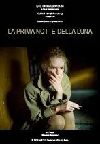 Светлая сторона Луны / La prima notte della luna (2010) cериал скачать через торрент в хорошем качестве