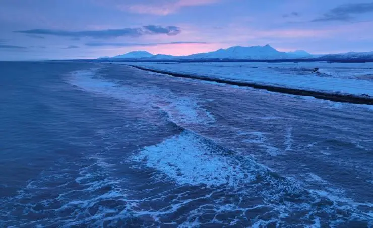 Огненный лис (2024) в хорошем качестве через торрент Огненный лис (2024) фильм в хорошем качестве через торрент