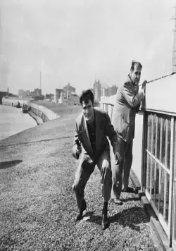 Паника на улицах (1950) в хорошем качестве через торрент Паника на улицах (1950) фильм в хорошем качестве через торрент