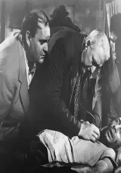 Паника на улицах (1950) через торрент бесплатно Паника на улицах (1950) фильм через торрент бесплатно