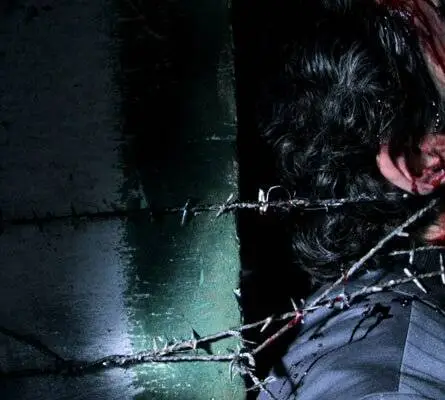 Дама в красном (2008) через торрент скачать Дама в красном (2008) фильм через торрент скачать