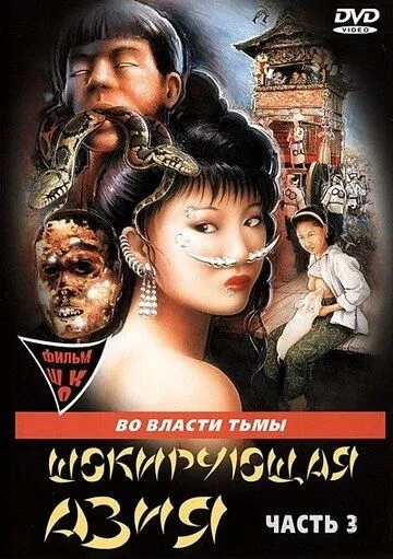 Скачать Шокирующая Азия 3 / Shocking Asia III: After Dark(1996) фильм через торрент бесплатно