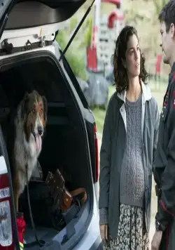 Руби, собака-спасатель (2022) через торрент бесплатно Руби, собака-спасатель (2022) фильм через торрент бесплатно