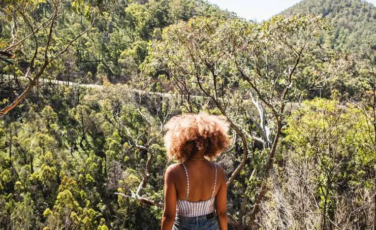 Сисси (2022) через торрент скачать Сисси (2022) фильм через торрент скачать