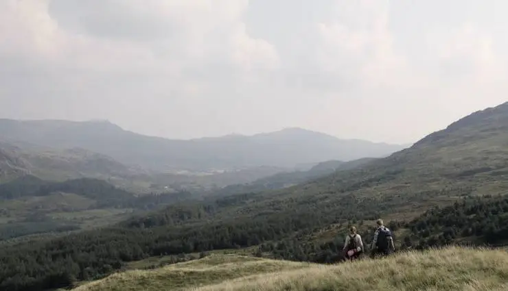 Среди живых (2022) через торрент скачать Среди живых (2022) фильм через торрент скачать