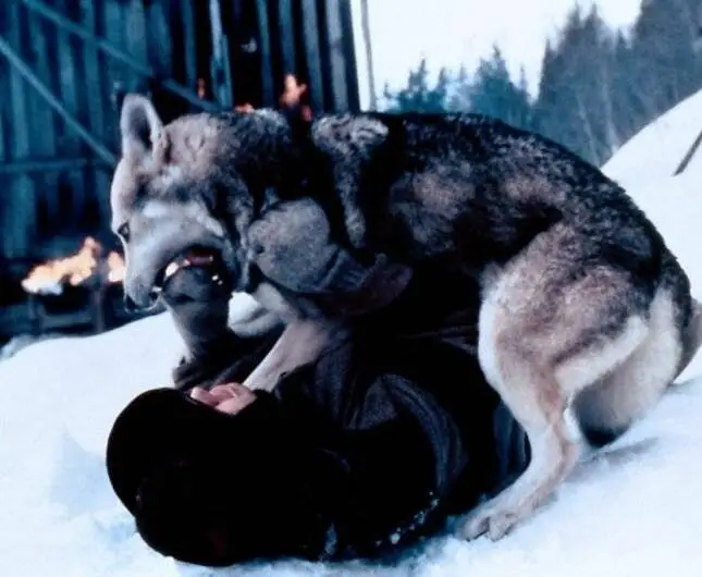 Северная звезда (1996) через торрент бесплатно Северная звезда (1996) фильм через торрент бесплатно