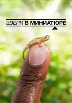 Звери в миниатюре / Super Small Animals (2017) фильм скачать через торрент в хорошем качестве