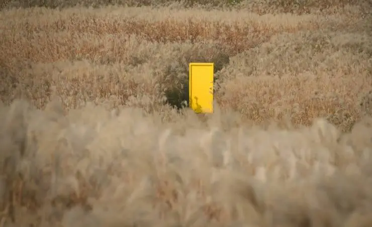 Жёлтая дверь: Клуб кинолюбителей 90-х (2023) через торрент бесплатно Жёлтая дверь: Клуб кинолюбителей 90-х (2023) фильм через торрент бесплатно