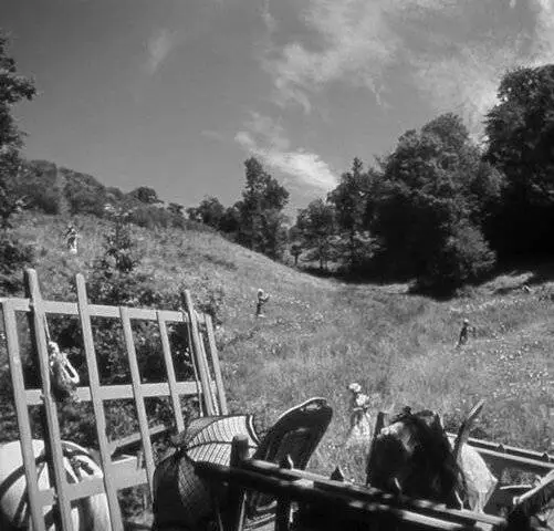 Наслаждение (1952) через торрент бесплатно Наслаждение (1952) фильм через торрент бесплатно