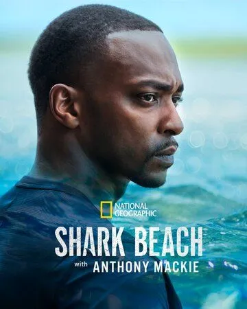 Скачать Акулий пляж с Энтони Маки / Shark Beach with Anthony Mackie (2024) фильм через торрент на русском