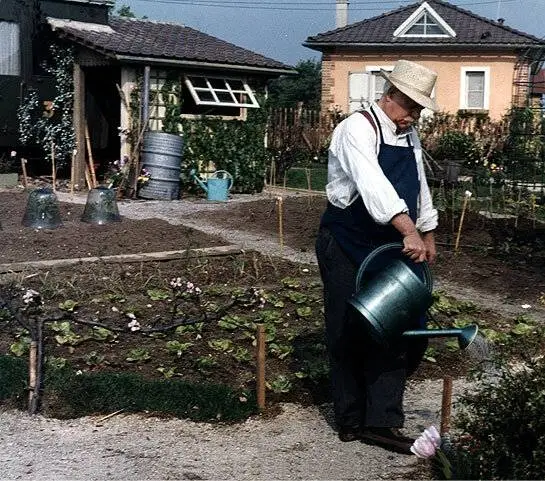 Садовник из Аржантей (1966) через торрент бесплатно Садовник из Аржантей (1966) фильм через торрент бесплатно