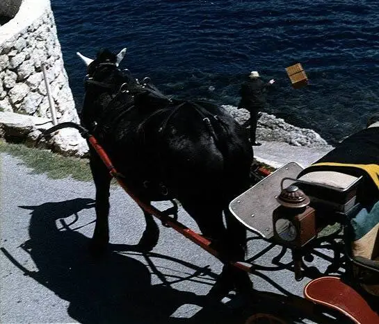 Садовник из Аржантей (1966) в хорошем качестве через торрент Садовник из Аржантей (1966) фильм в хорошем качестве через торрент