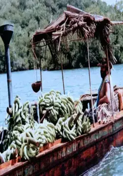 Банановый Джо (1982) через торрент скачать Банановый Джо (1982) фильм через торрент скачать