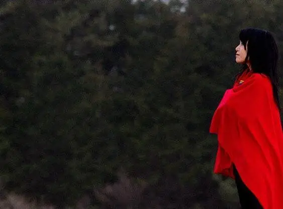 Фрезия: Холодные слезы (2007) через торрент бесплатно Фрезия: Холодные слезы (2007) фильм через торрент бесплатно