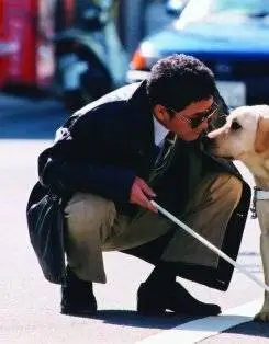 Куилл (2004) в хорошем качестве через торрент Куилл (2004) фильм в хорошем качестве через торрент