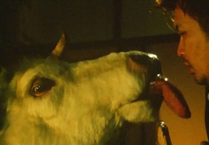 Театр ужасов якудза: Годзу (2003) через торрент скачать Театр ужасов якудза: Годзу (2003) фильм через торрент скачать