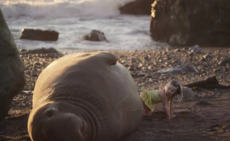 Остров пропавших девчонок (2022) в хорошем качестве через торрент Остров пропавших девчонок (2022) фильм в хорошем качестве через торрент